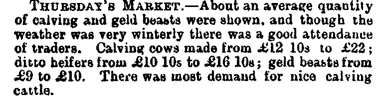 Market  1888-04-07 CHWS.JPG